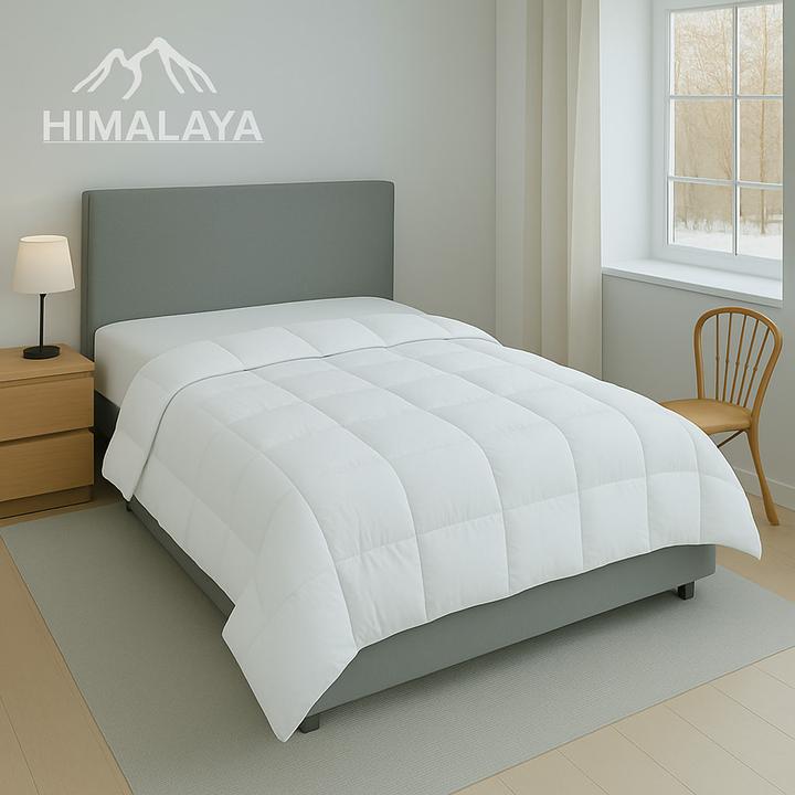 Image du produit Traumschlaf Himalaya (620 g, 160 x 210 cm)