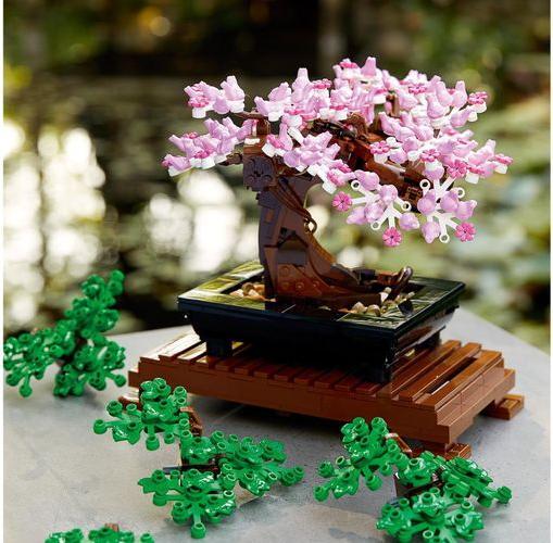 Image du produit LEGO Bonsaï (10281, LEGO Botanical, LEGO Icons)