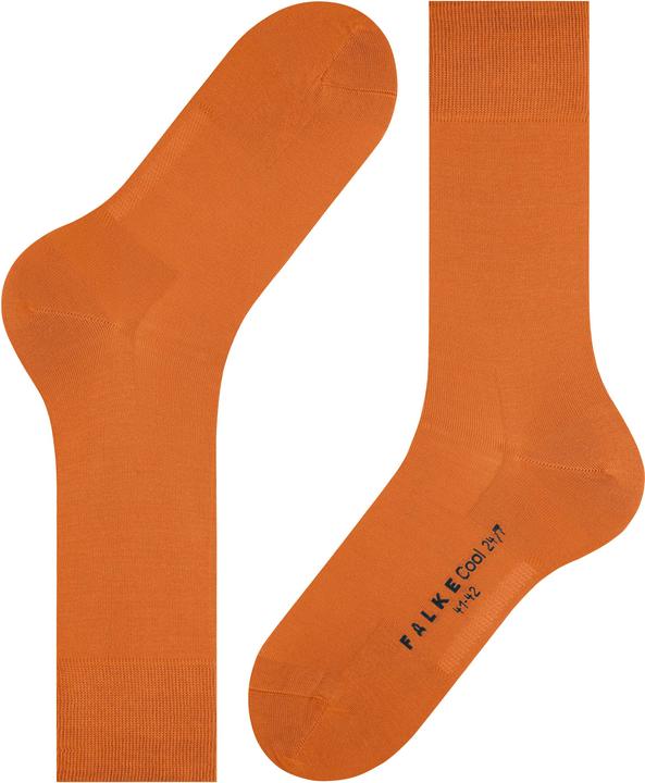 Image du produit Falke Cool 24/7 Men (39 - 40)
