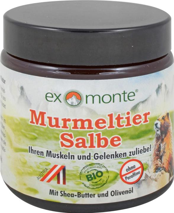 Produktbild Exmonte Murmeltier Salbe, 100 ml (1 x, 100 ml, 262 g)