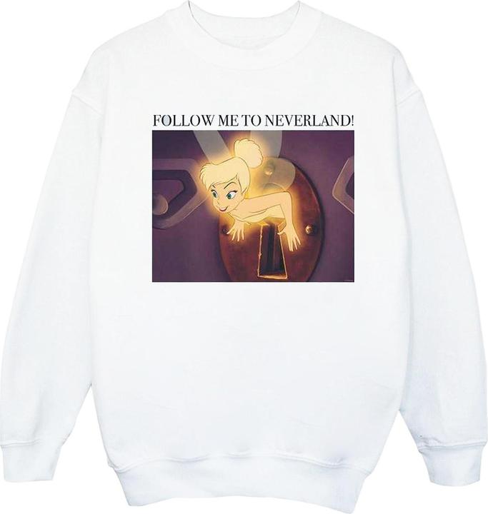 Actual product image Disney Womens/Ladies Tinker Bell Follow Me Sweatshirt (XL)