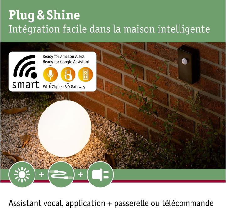 Actual product image Paulmann Plug & Shine ZigBee Controller