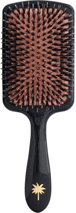 Produktbild Fan Palm - Paddle Brush Large Big Star