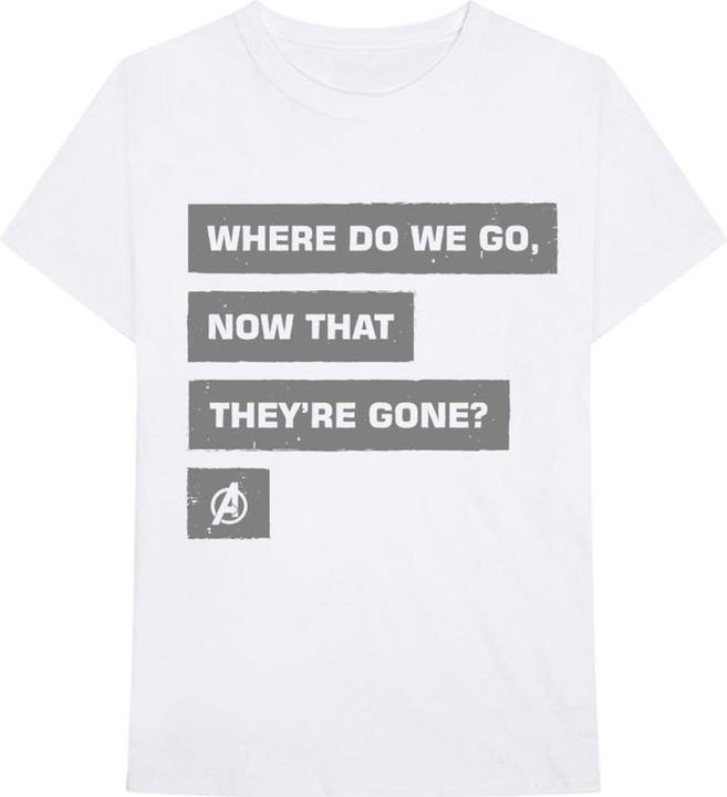 Marvel Avengers Now That Theyre Gone (XL)