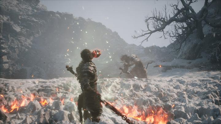 Image du produit 2K Games Black Myth: Wukong (PS5, EN)