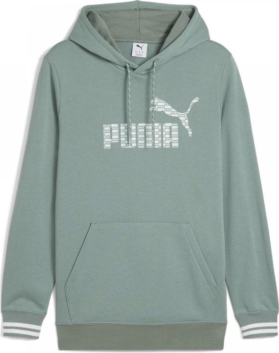 Image du produit Puma UNITED Sweat à capuche TR (L)