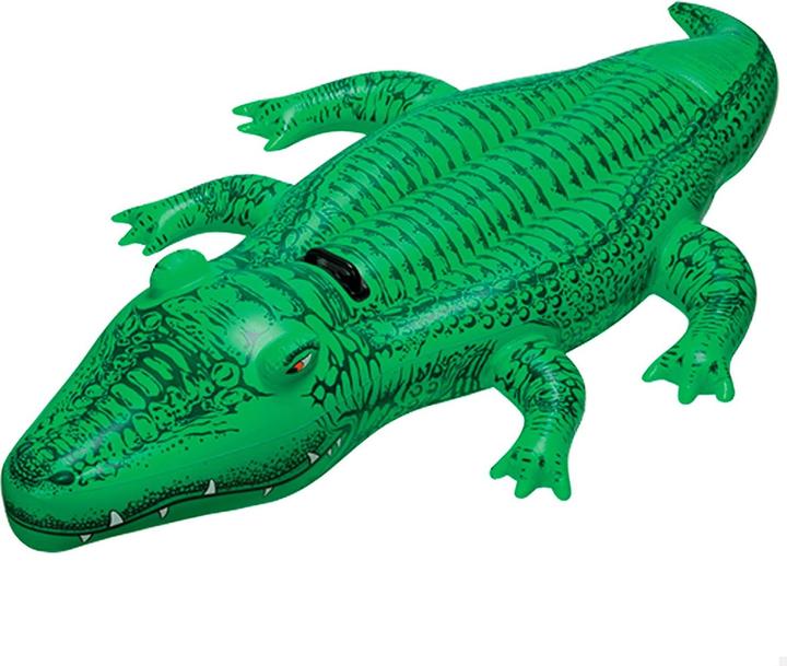 Actual product image Intex The Lil' Gator