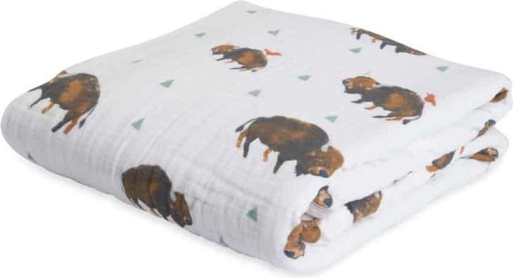 Bison