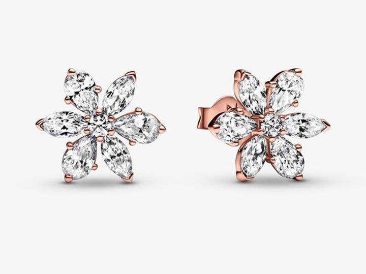 Produktbild Pandora Sparkling Herbarium Cluster Ohrstecker (Sterling Silber 925)