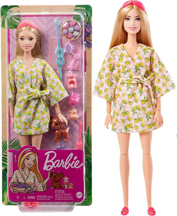 Actual product image Barbie Wellness - Spa Day