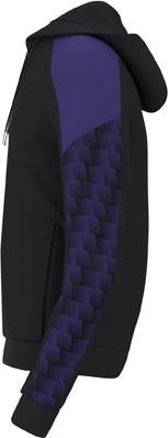 Image du produit Erima Sweat à capuche Evo Star (XL)