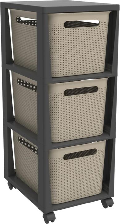 Image du produit Rotho Tower Brisen (30 x 35 x 38 cm)