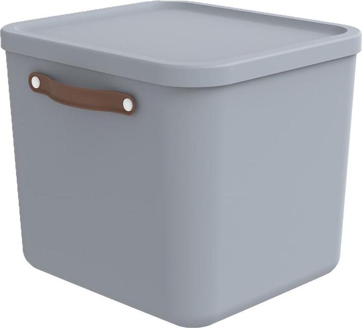 Actual product image Rotho Aufbewahrungsbox 40 l MALOJA (40 l)