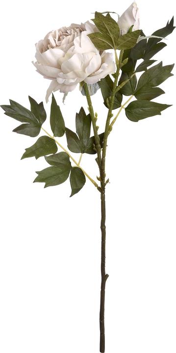 Produktbild Hill Interiors Kunstblume Pfingstrose