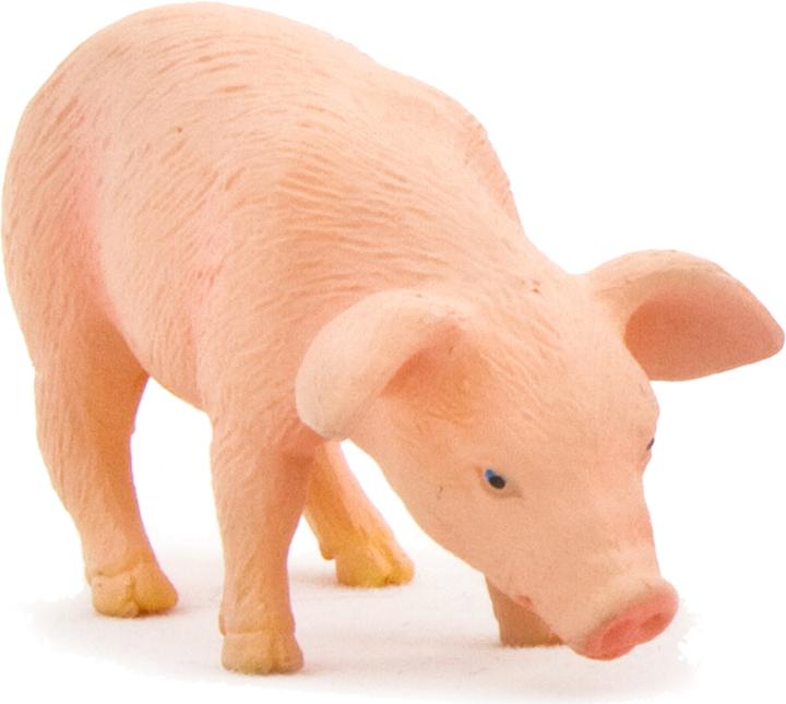 Actual product image Animal Planet piglet-eating