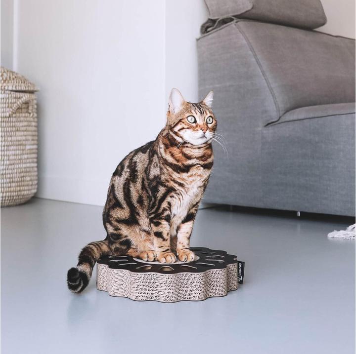 Image du produit District 70 Jouet pour chats Plateau de jeu Sunny Black, 32 x 32 x 6 cm (Jouet à gratter chat)