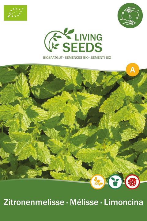 Actual product image Living Seeds Lemon balm (Plant seeds)