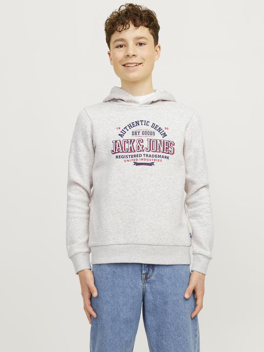 Produktbild Jack & Jones JJELOGO SWEAT HOOD 2 COL 24/25 NOOS JNR (164)