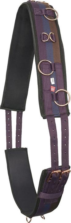 Produktbild Imperial Riding Longiergurt IRHDeluxe Nylon