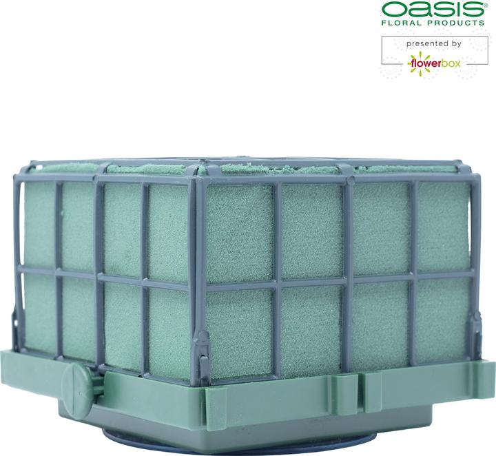 Image du produit Oasis Auto-Corso 11 x 11 x 9 cm, 6 pièces