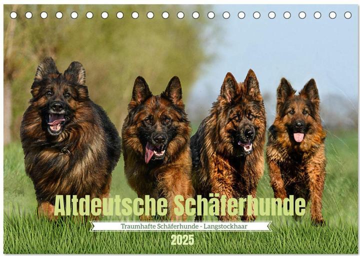 Produktbild :Altdeutsche Schäferhunde - Tra (A5, Deutsch)