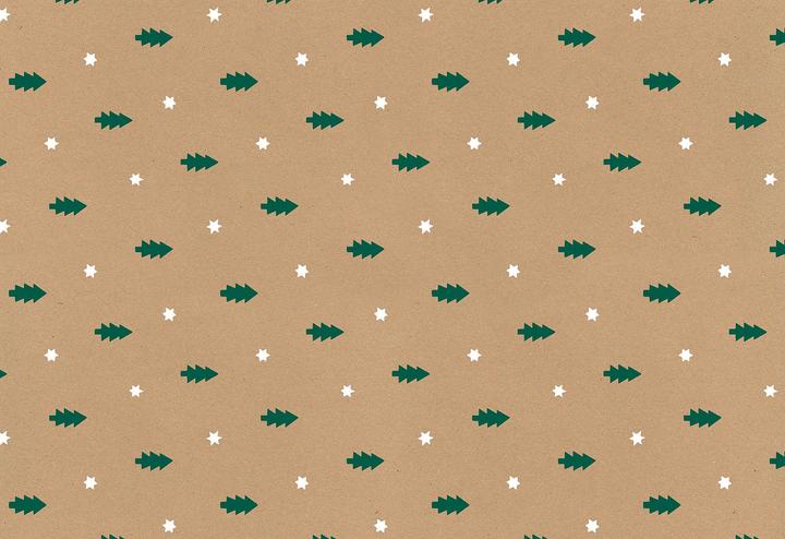 Actual product image Stewo Wrapping paper Ivek 252358954 0,7x250m green (Wrapping paper, 1 x)