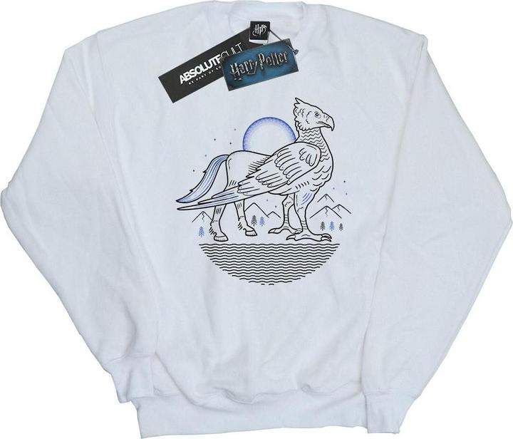 Image du produit - Sweat BUCKBEAK LINE ART - Fille (128)