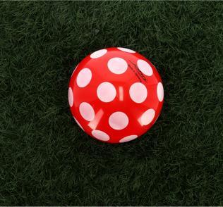 Produktbild John Ball Pilz
