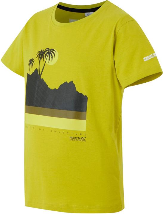 Produktbild Regatta Bosley VIII TShirt (158, 164)