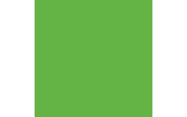 Produktbild Amsterdam Acrylfarbe Standard Series 672 (Reflexgrün, 120 ml)