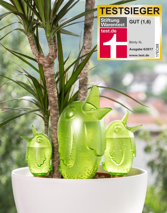 Actual product image Scheurich Bördy S (Clay cone)