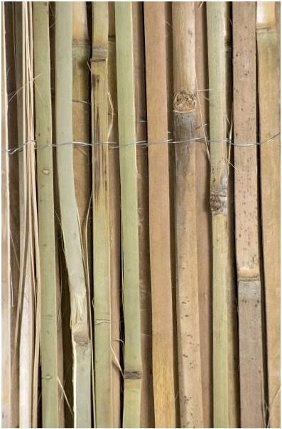 Image du produit Windhager Mitake (300 cm)