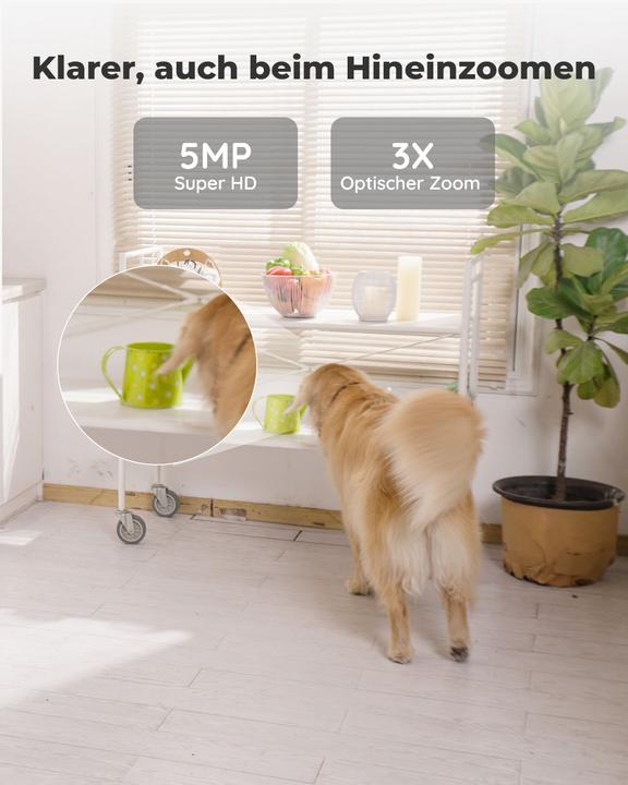 Actual product image Reolink E1 Zoom V2 (2560 x 1920 pixels)