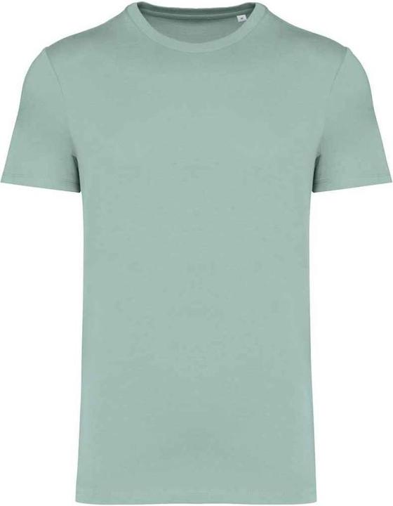 Immagine prodotto Native Spirit Maglietta Aderente Pesante Adulto Unisex (3XL)