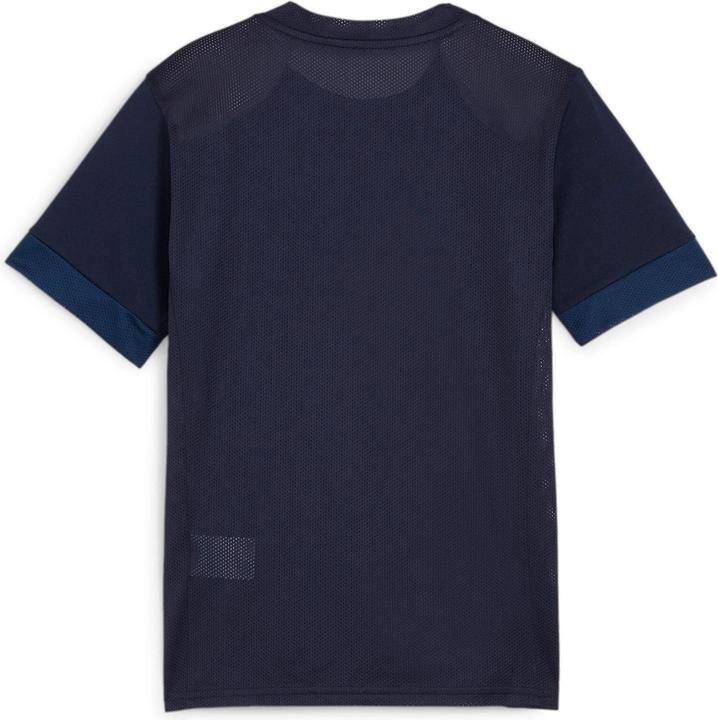Produktbild Puma teamGOAL Matchday Jersey jr (M)