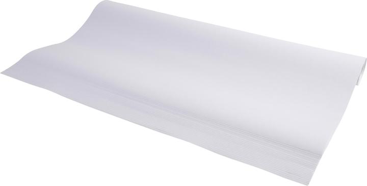 Actual product image Exacompta Flipchart pad (63 x 98 cm)