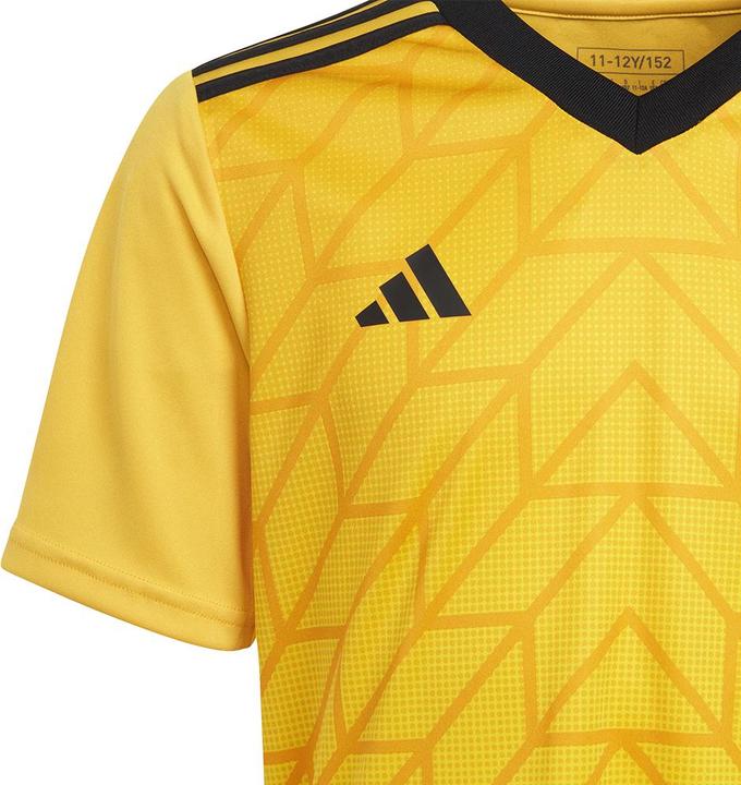 Image du produit adidas Team Icon 23 Maillot (128)