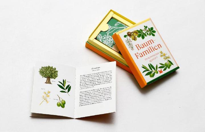 Image du produit 441876 - Arbre-Familles - Jeu de cartes, 3-8 joueurs, à partir de 6 ans (édition DE) (Allemand)