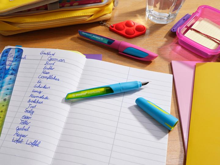 Immagine prodotto STABILO EASYbuddy FRESH EDITION stilografica per la scuola con pennino medio M (Blu, 1 x)