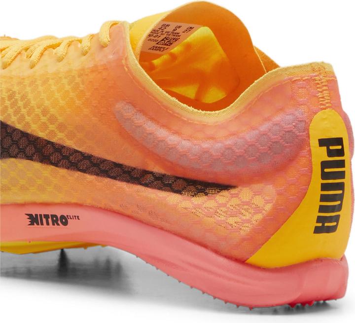 Actual product image Puma evoSPEED Distance Nitro Elite+ 4 (47)