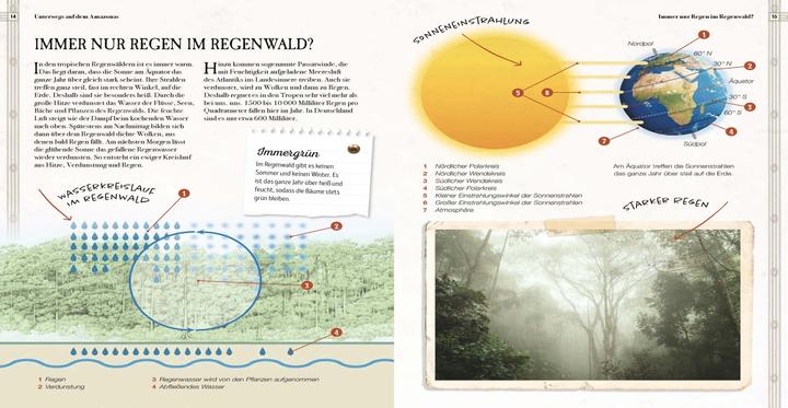 Immagine prodotto Verborgene Welt des Regenwaldes (Tedesco, Kristina Scharmacher scrittrice, Ferruccio Cucchiarini, 2020)