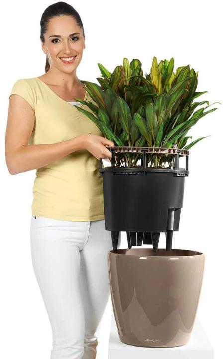 Image du produit Lechuza Classico (28.50 cm)