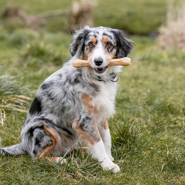 Actual product image Nobby Chew bone pressed (1 pcs., 450 g)
