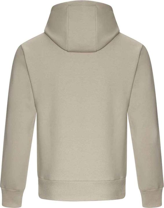 Actual product image Awdis Unisex Adult Signature Heavyweight Hoodie (XS)