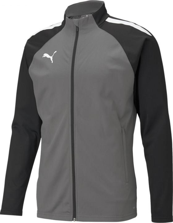 Actual product image Puma teamLIGA Training Jacket (4XL)