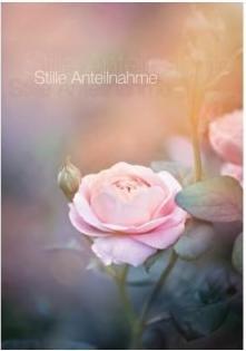 Immagine prodotto Cart Biglietto di auguri Rose