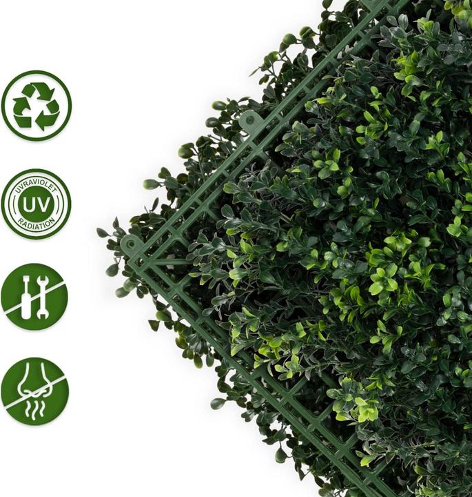 Produktbild Karat Boxwood Pflanzenwand (50 cm)