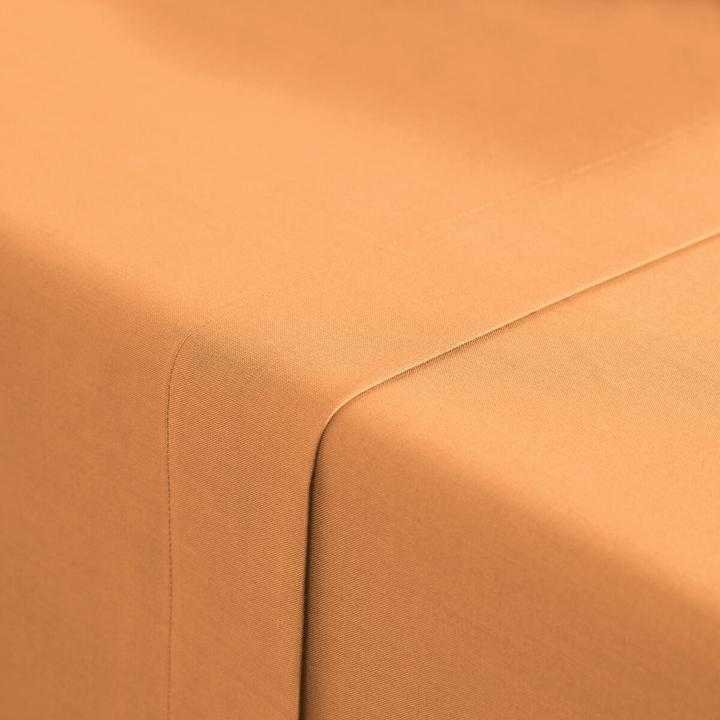 Produktbild La Redoute Interieurs Scenario Coton (180 x 290 cm)
