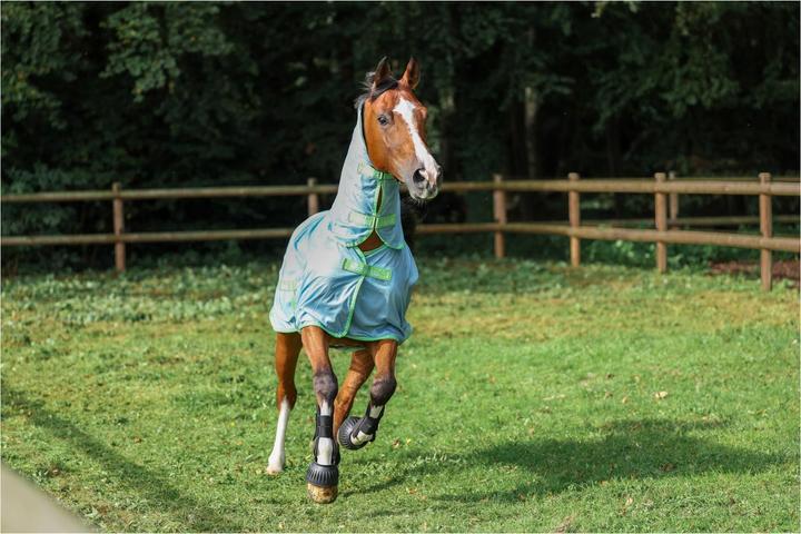 Produktbild Bucas Fliegendecke Freedom mit Halsteil