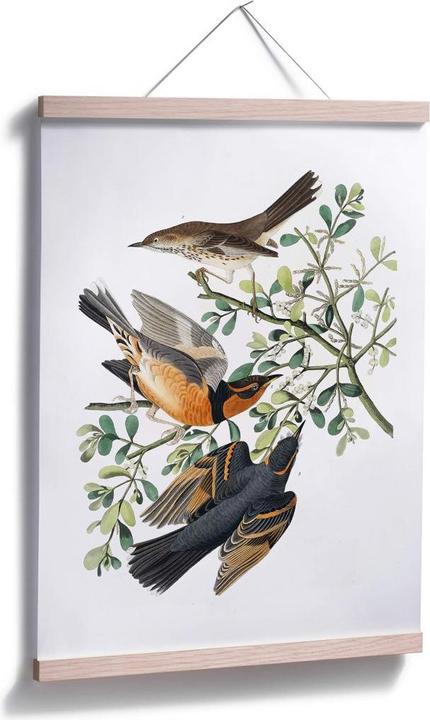 Produktbild Trenddeko Drei Drosseln (50 x 60 cm)